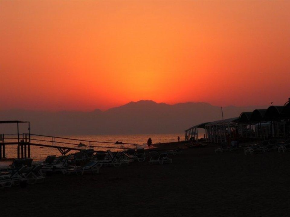 Pláž-západ1 Papillon Ayscha