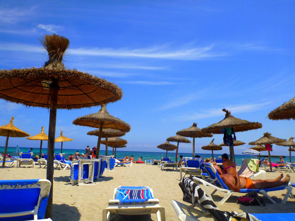 Sicht von den Liegen zum Meer BJ Playamar Hotel & Apartamentos