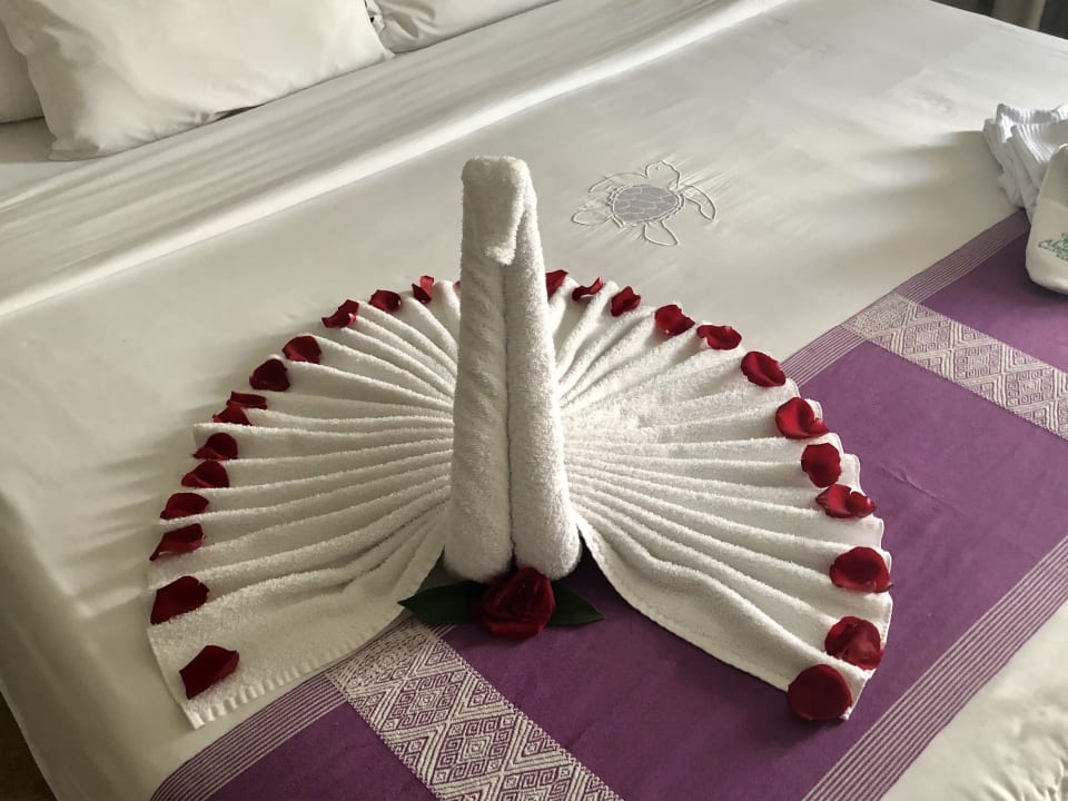 Zimmer Akumal Bay Beach & Wellness Resort