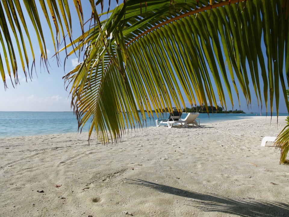 Keine da..morgen früh.. 8:30 Uhr.. Meeru Maldives Resort Island