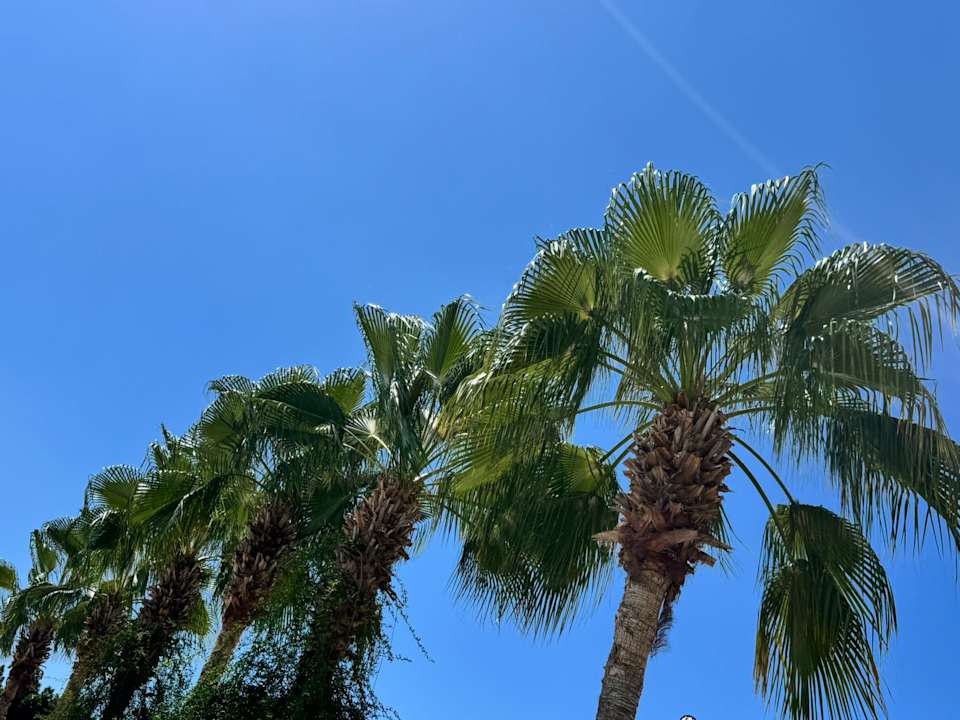 Gartenanlage Calido Maris Hotel