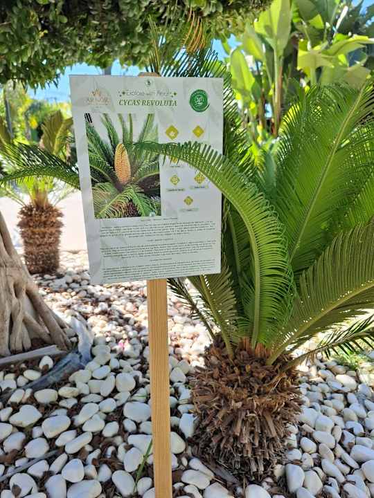 Gartenanlage Arnor de Luxe Hotel & Spa