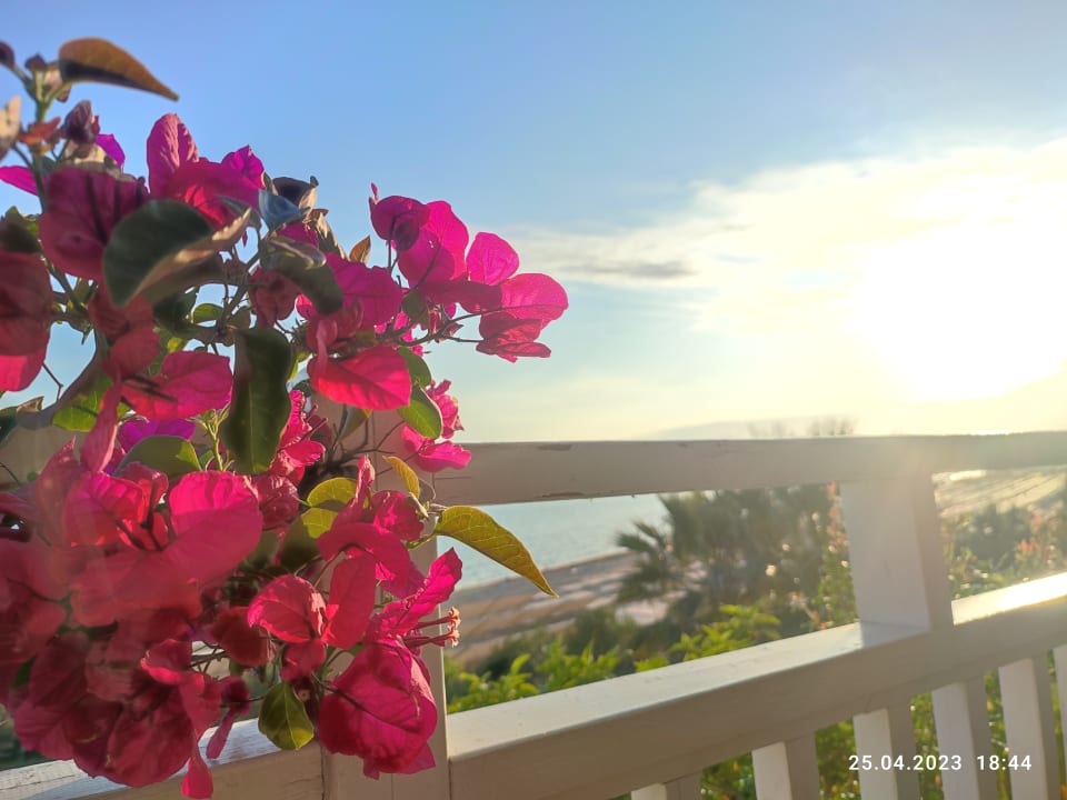 Ausblick Can Garden Resort