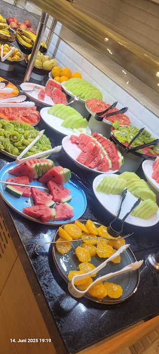 Gastro Seashell Vega