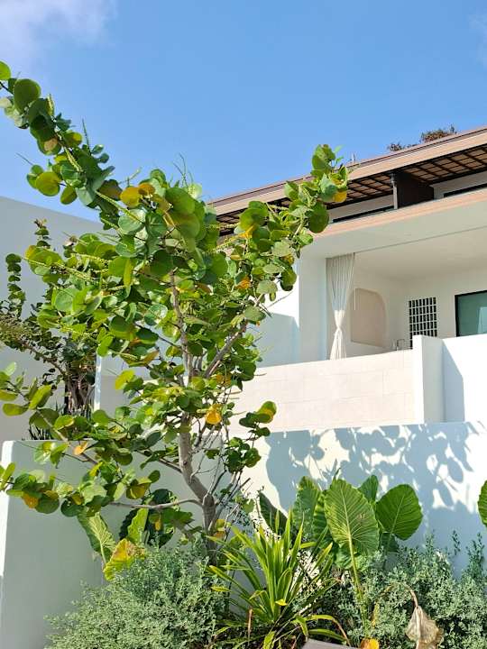 Gartenanlage Pichcha Kohlarn