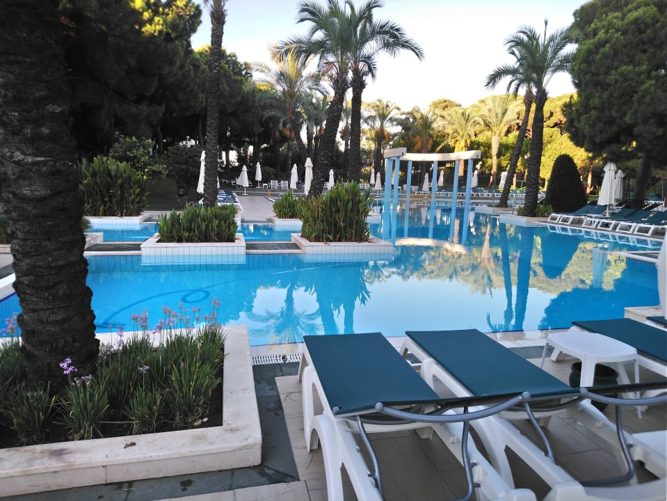 Pool IC Hotels Green Palace