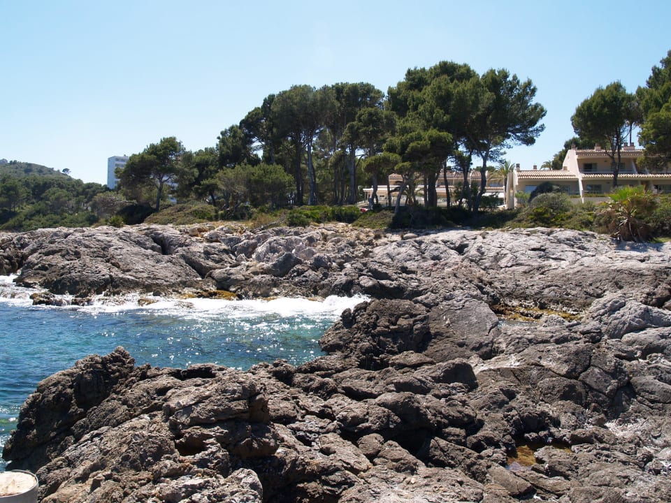 Die Klippen direkt vor der Hotelanlage Iberostar Waves Pinos Park