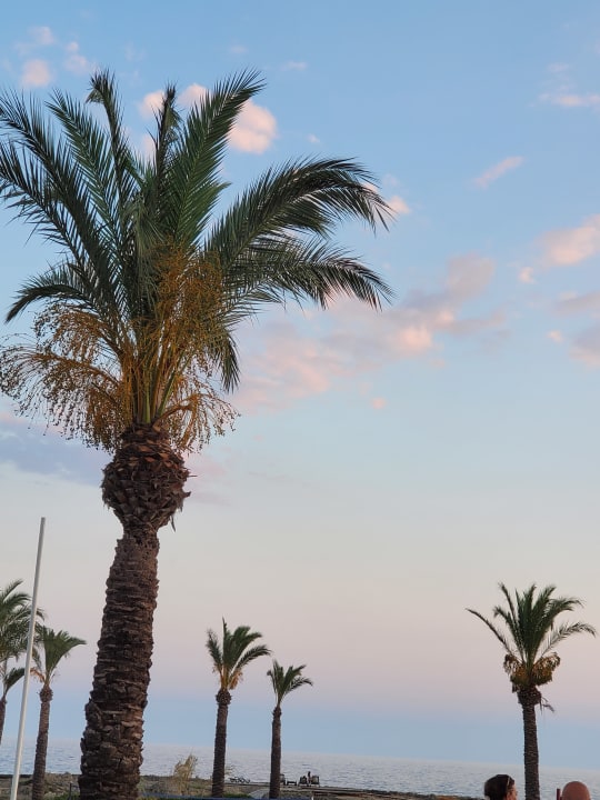 Ausblick Oz Hotels Incekum Beach