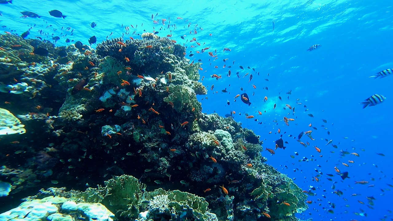 Strand SUNRISE Anjum Resort Marsa Alam