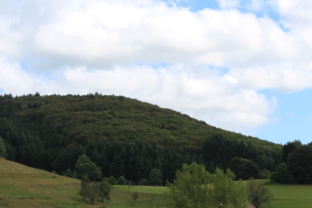 Ausblick Hotel Landgasthof Zum Pflug