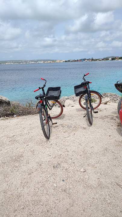 Sport & Freizeit Chogogo Dive & Beach Resort Bonaire