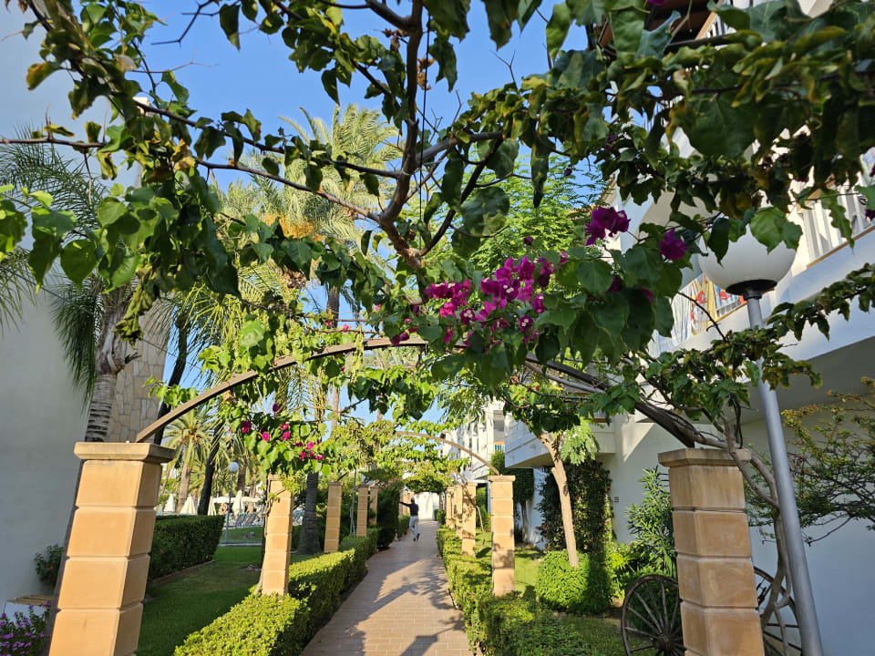 Gartenanlage Alcudia Garden Aparthotel