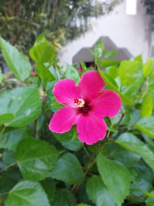 Gartenanlage Mahdia Beach & Aquapark