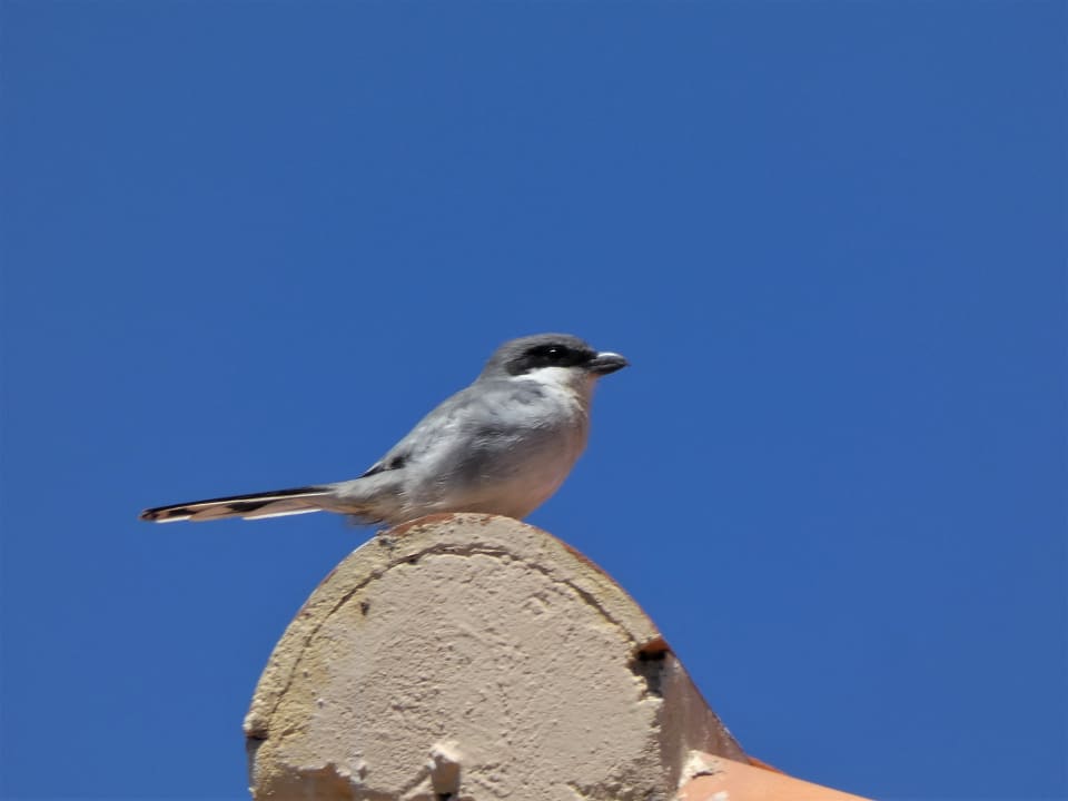 Hotel La Pared Bakour Fuerteventura La Pared