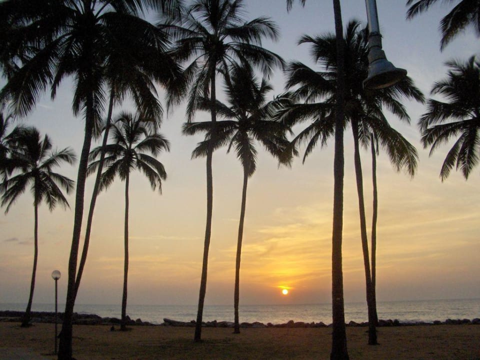 Die Abende Club Hotel Dolphin