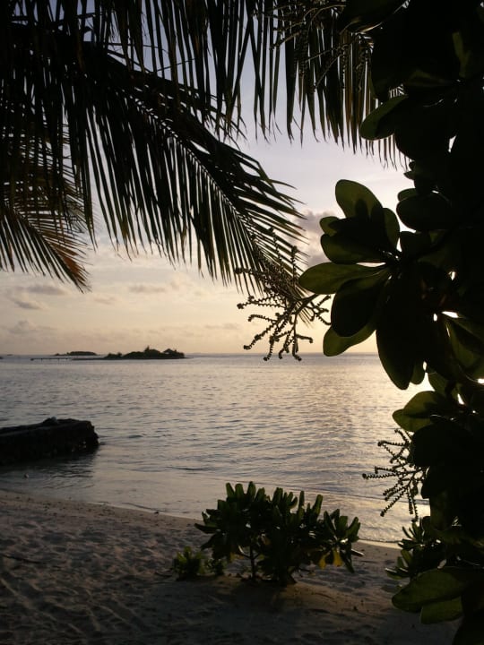Aussicht vor unserm Bungalow Adaaran Select Hudhuran Fushi - Premium All Inclusive