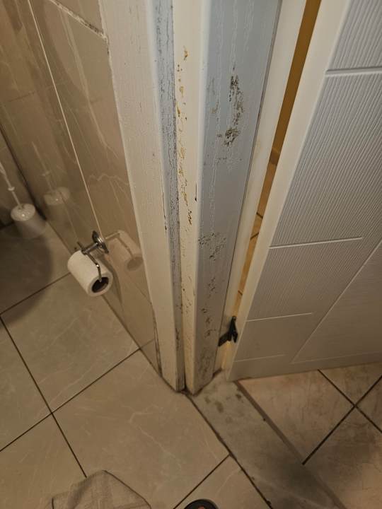 Zimmer Saygili Beach Hotel