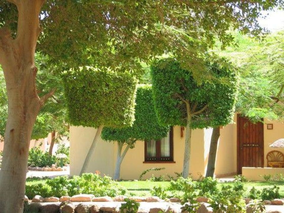 Ogród Hotel Nubian Village