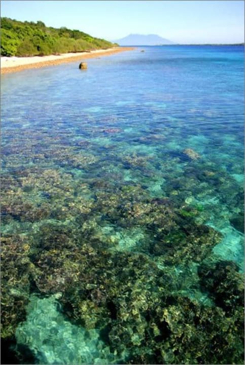The water is made for snorkeling Pearl Beach Resort