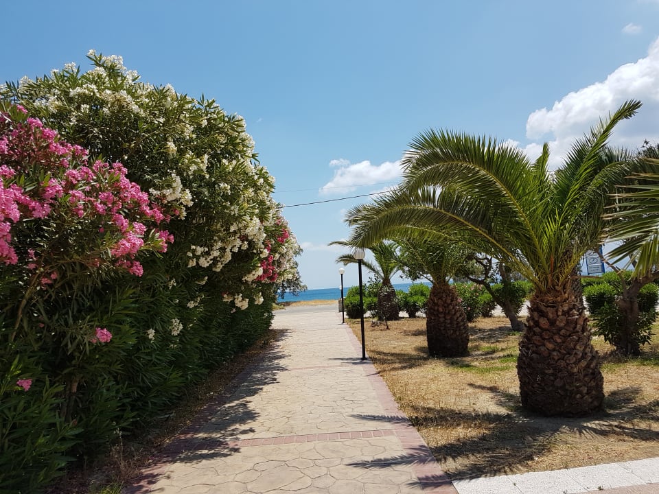 Außenansicht Kalimera Mare