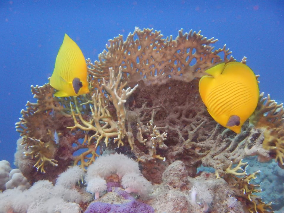 Sport & Freizeit Grand Makadi