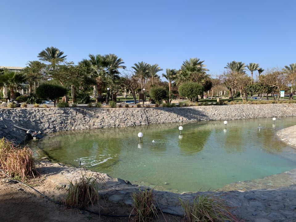 Gartenanlage Steigenberger Aqua Magic