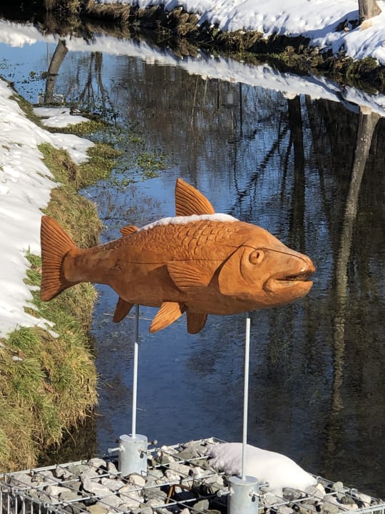 Gartenanlage Hotel Forellenbach