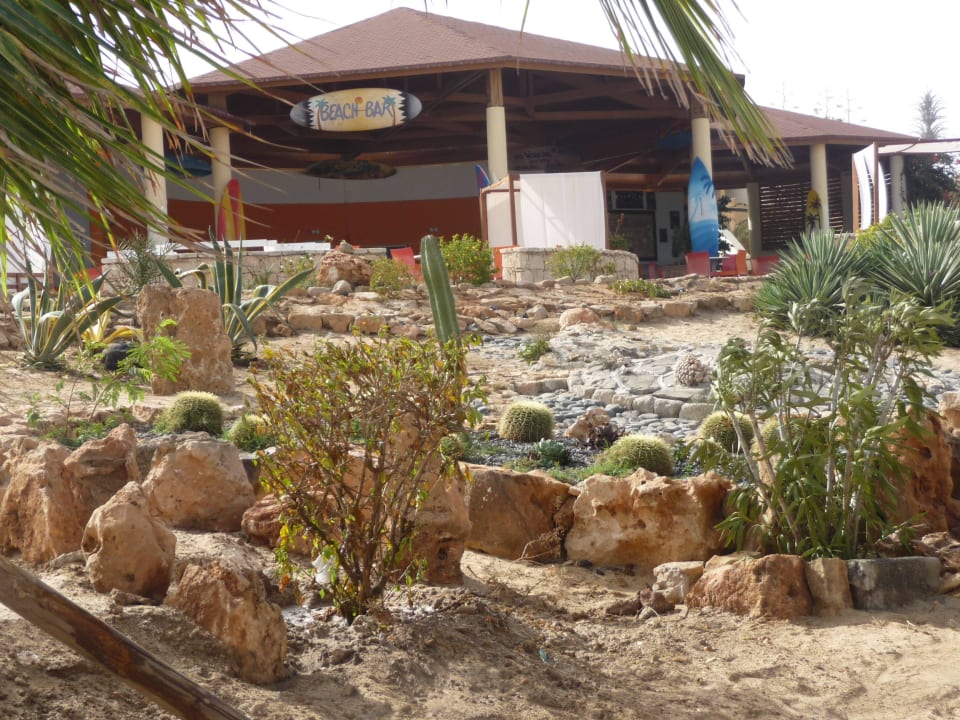 Strandbar Occidental Boa Vista Beach