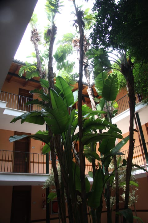 Sonstiges Blau Colònia Sant Jordi