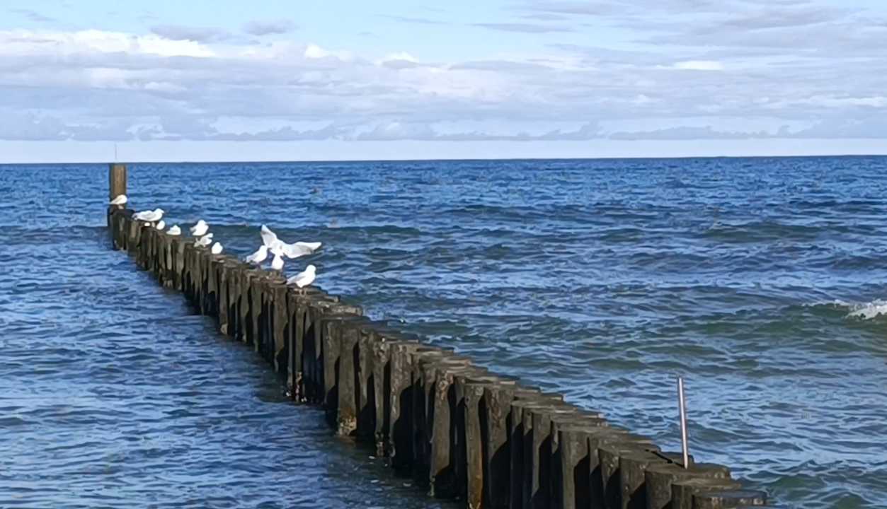 Strand Baltivia Sea Resort