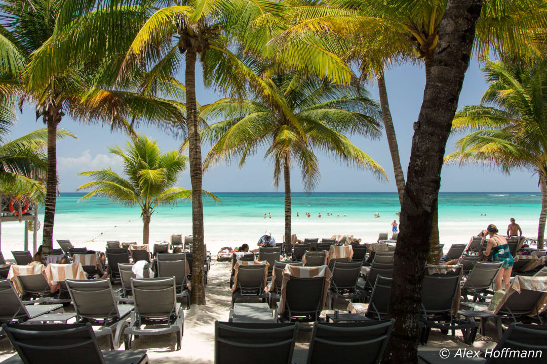 Sehr schöner Strand Catalonia Royal Tulum Beach & Spa Resort - Adults only