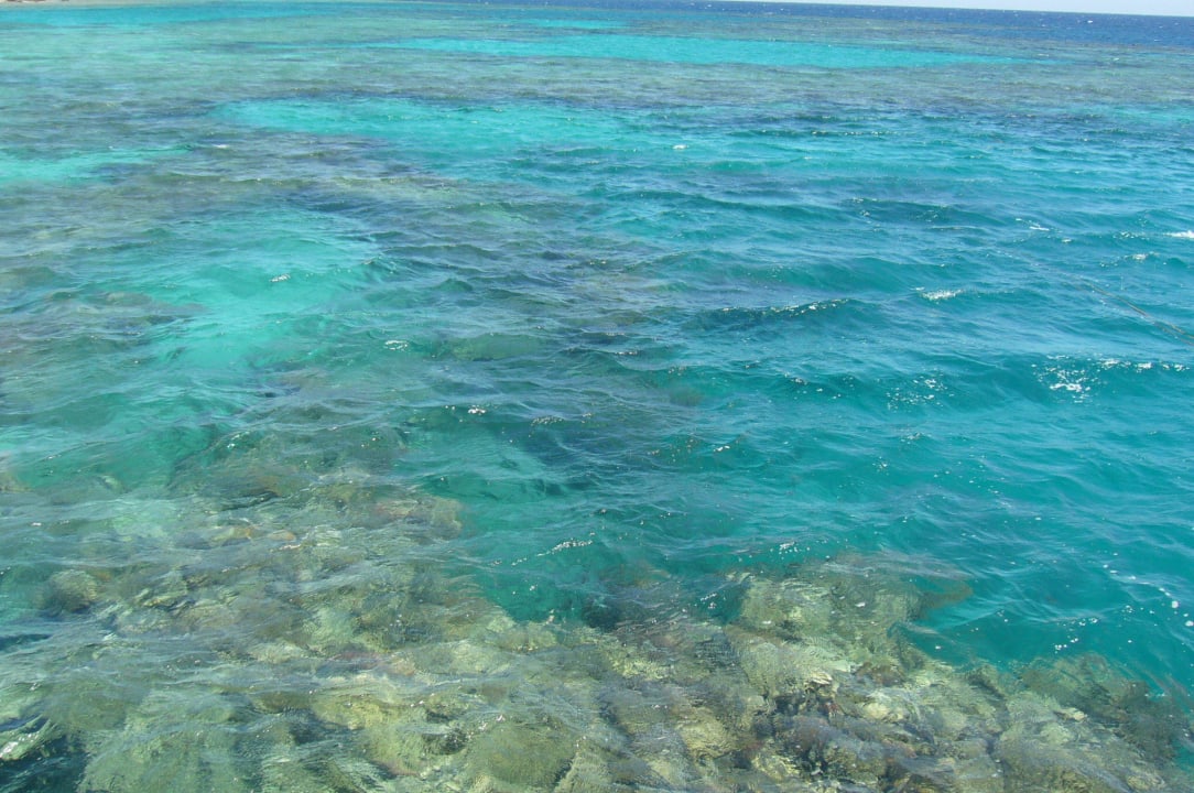 Aufgenommen vom Steg aus Fantazia Resort Marsa Alam