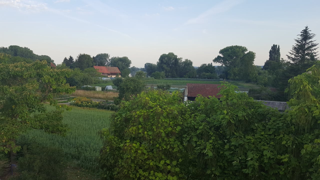 Ausblick Hotel Trompeterschlössle