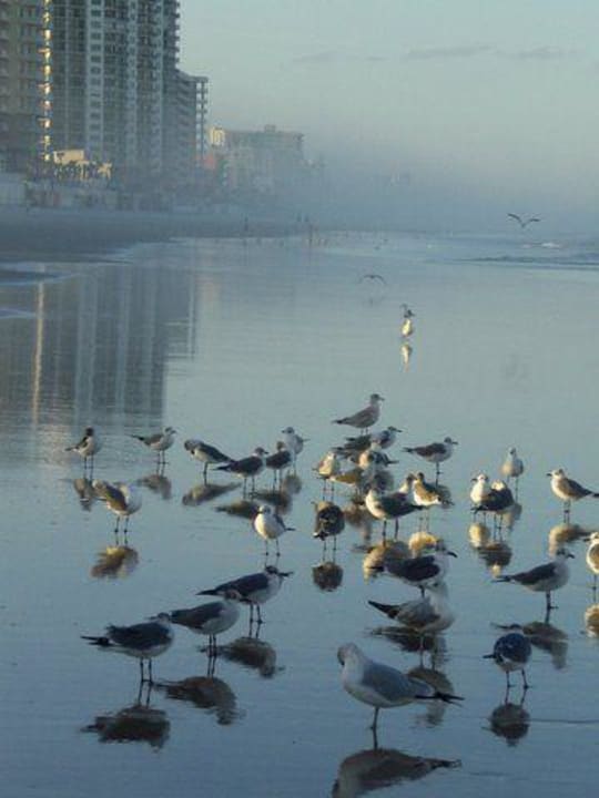 Sonnenuntergang Hotel The Shores Resort & Spa