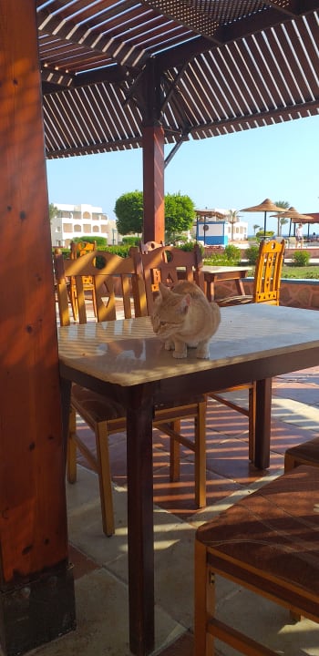 Gastro Bliss Nada Beach Resort