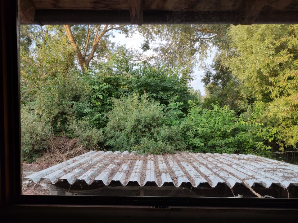 Ausblick Pension Gerry s Guesthouse