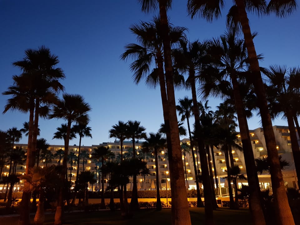 Garten Hipotels Mediterraneo Club