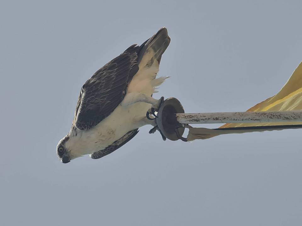 Strand Makadi Spa - Adults only