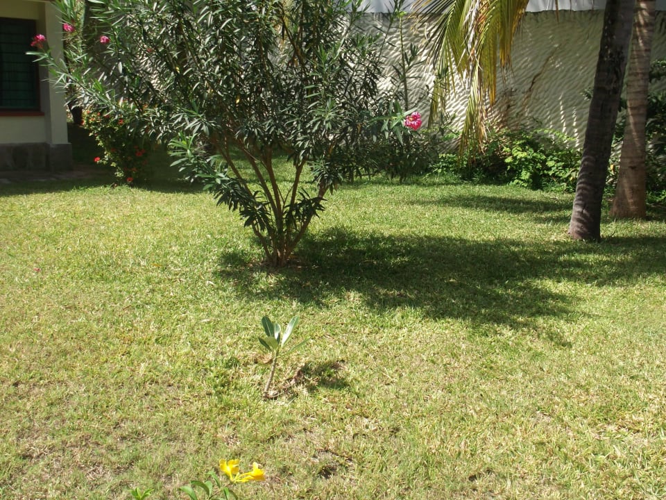 Garden Indiana Beach Apartment