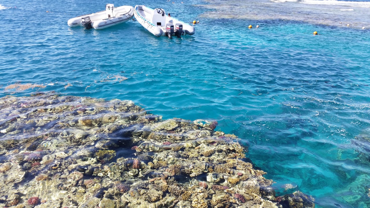 Sauberes Wasser mit Fischen Jaz Dar EL Madina