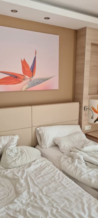 Zimmer Bull Costa Canaria & Spa - Adults only