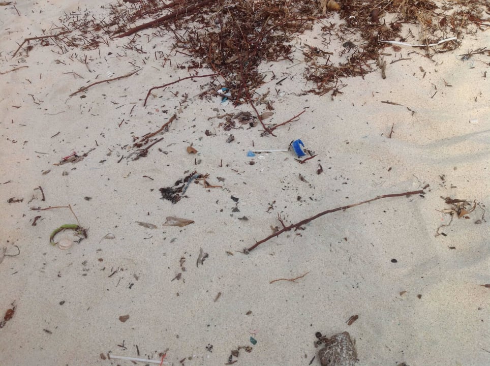 Strand voller Plastikmüll Crystal Bay Yacht Club Beach Resort