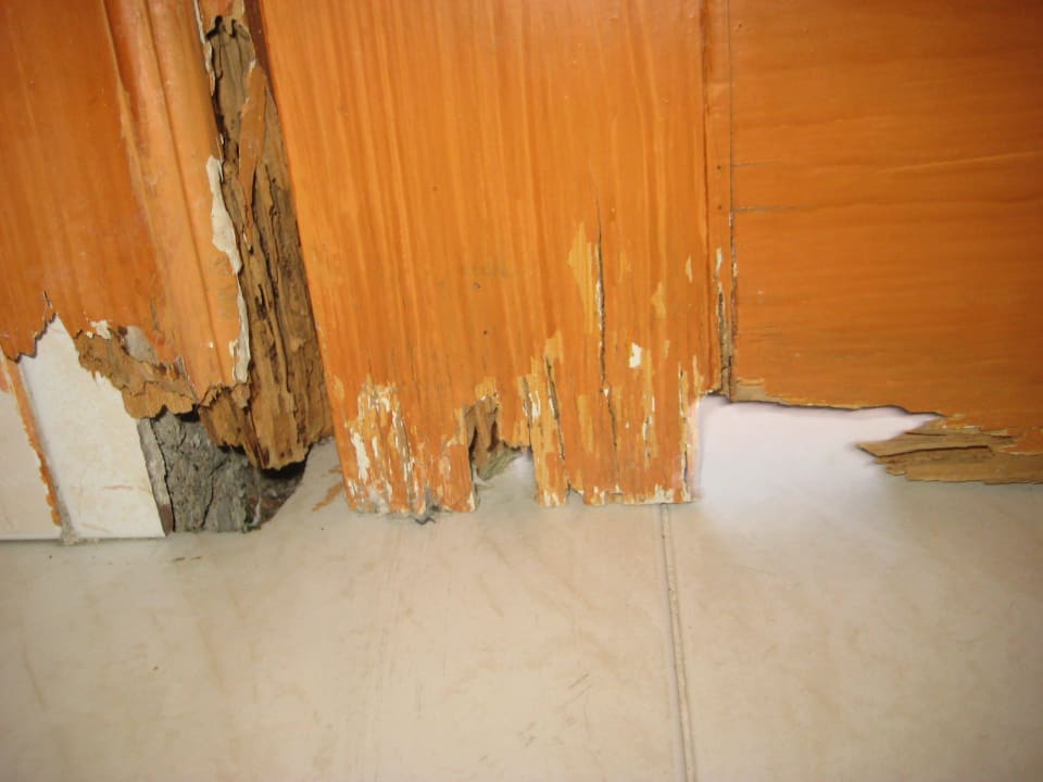 Tür zur Herrentoilette auf der Dachterrasse GF FANABE