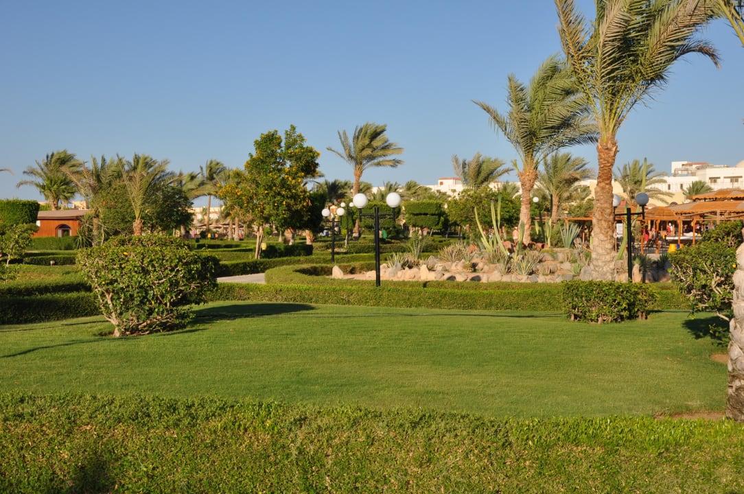 Der gut gepflegte Park Desert Rose