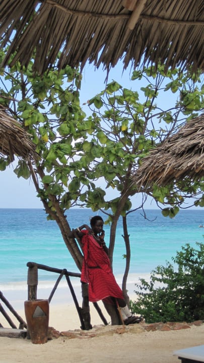 Wachmann  My Blue Hotel