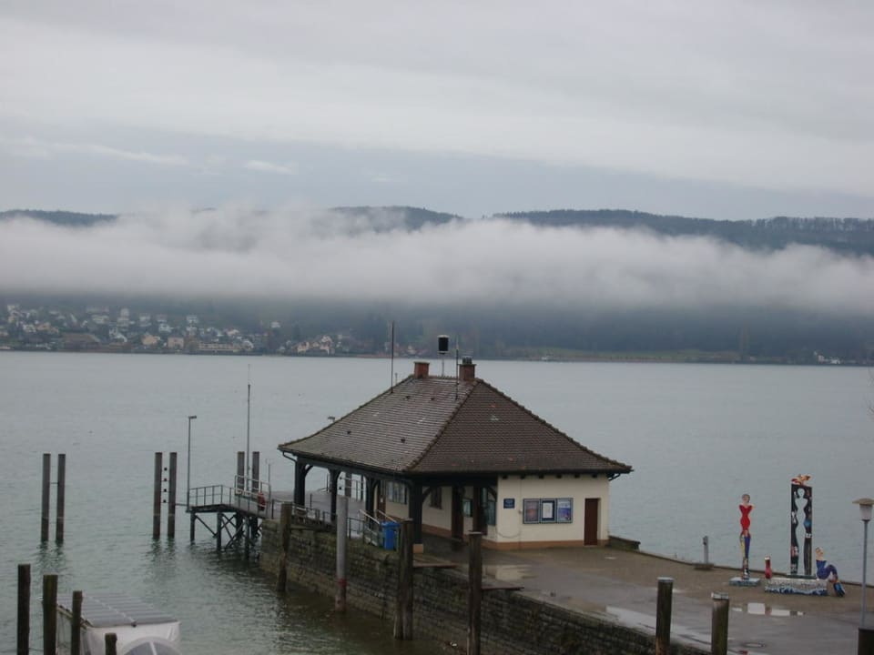Seeblick Hotel Seeschau