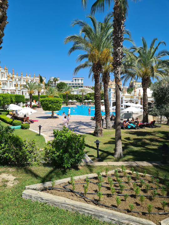 Pool Kamelya Aishen Club