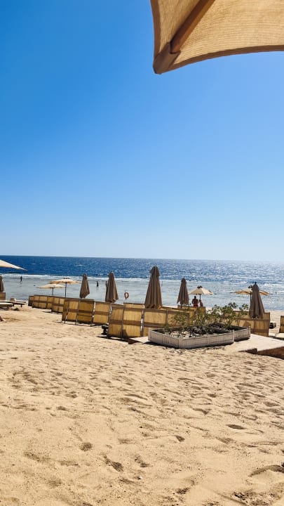 Strand Serenity Alpha Beach