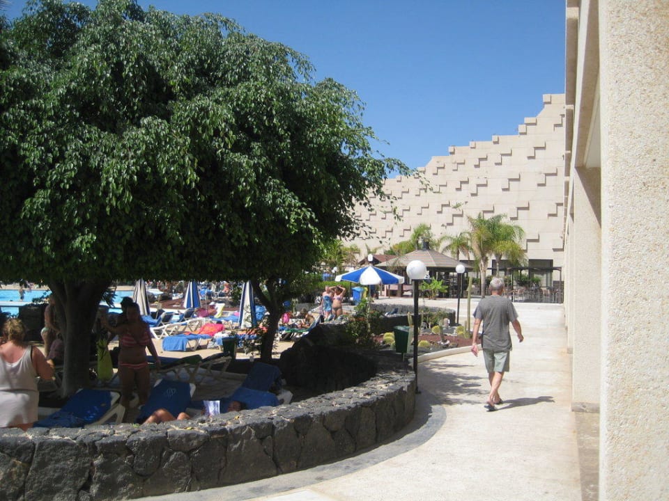 Gartenimpression Hotel Grand Teguise Playa