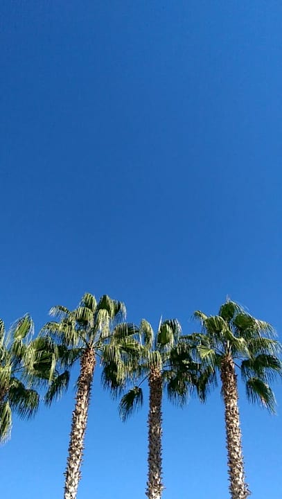 Sonstiges Side Royal Paradise Hotel